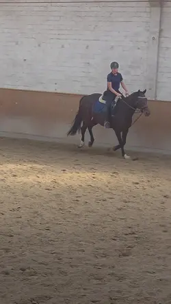 Horse slowmo!