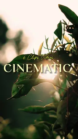Cinematic 6 Videos