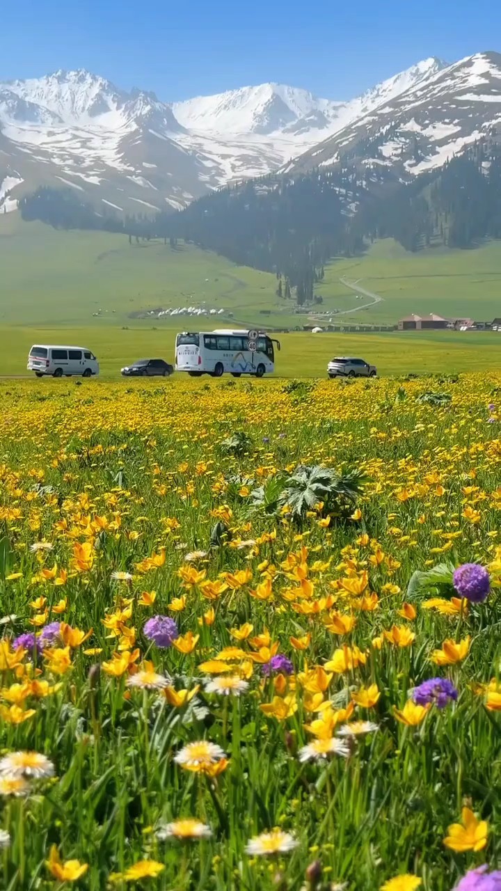 Vlog 