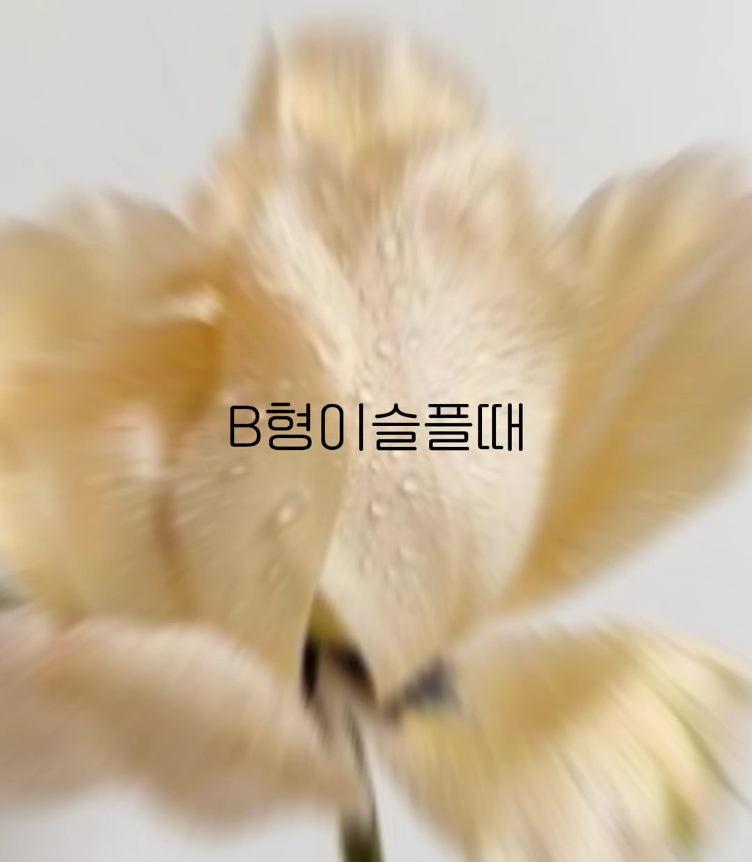 B형이슬프고 힘들때..