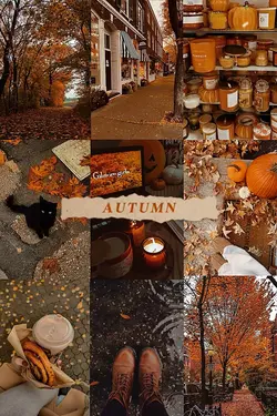 Autumn Aesthetic 🍁