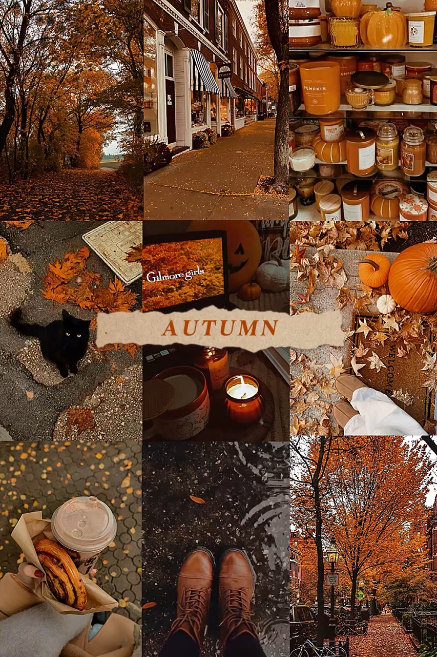 Autumn Aesthetic 🍁