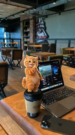 Mentahan Hd Kucing