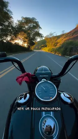 Só minha vida