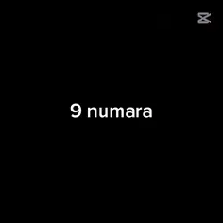 koca bir nesli
