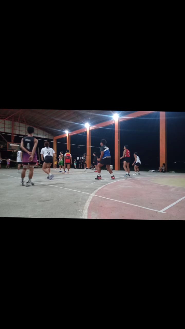 libero volleyball 