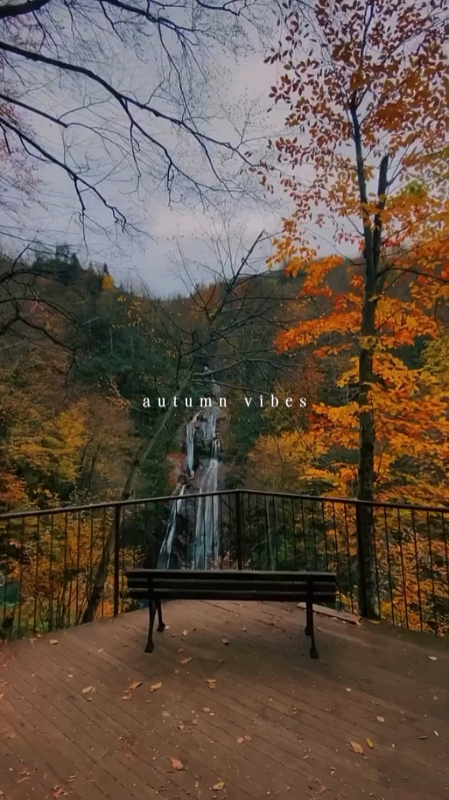 Autumn vibes