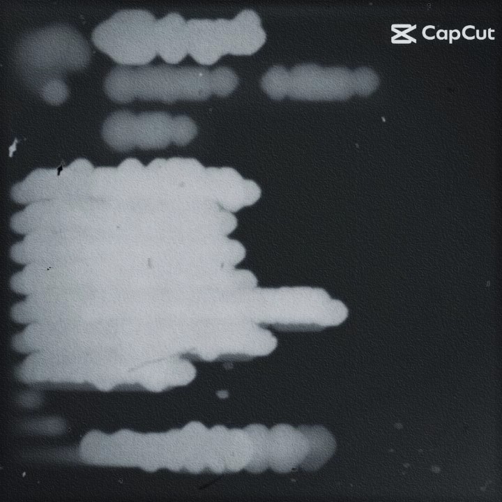 မမျှော်လင့်တော့ပါဘူး