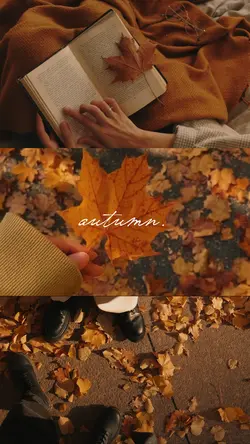 autumn cinematic