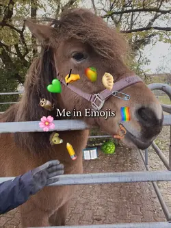 Me in Emojis🫶🏽