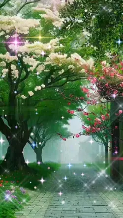 음악영상Music video음악템플릿