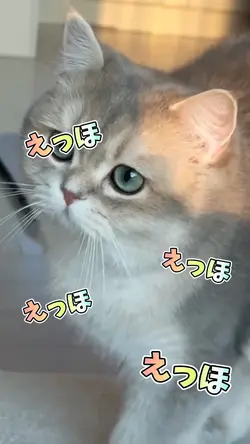 えっほえっほえっほえっほ🥰 3movie