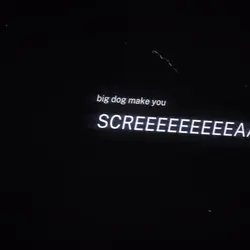 pitbull terrier 👩‍❤️‍💋‍👩