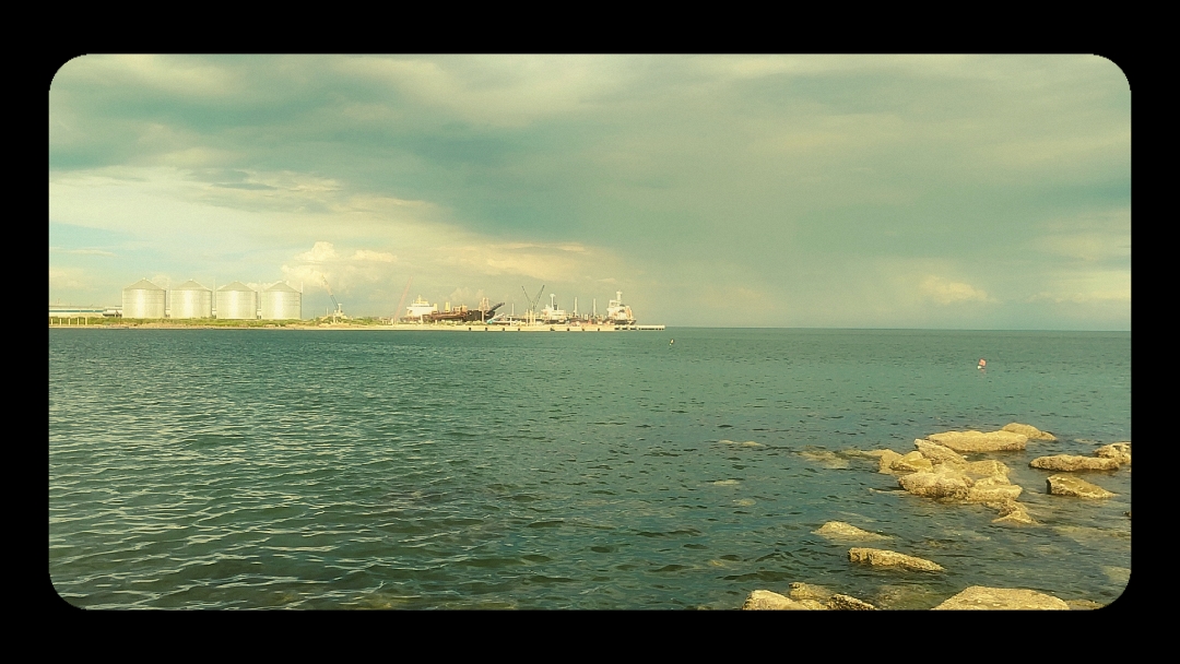 Cover Picture