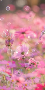 Spring🌸