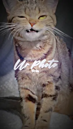 จังหวะหมอลำ