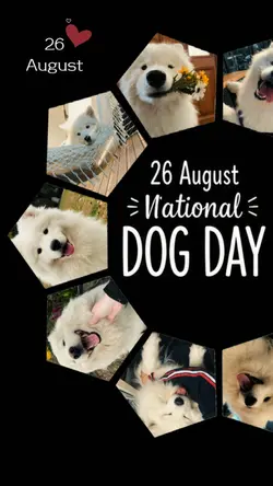 NATIONAL DOG DAY
