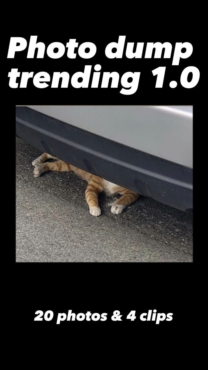 Photodump trending 1