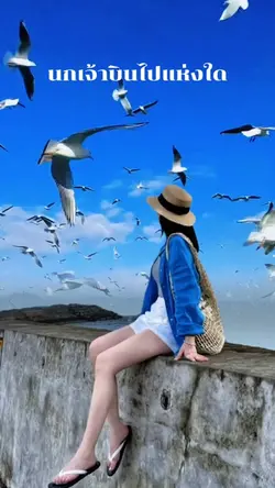 นกเจ้าบินไปแห่งใด