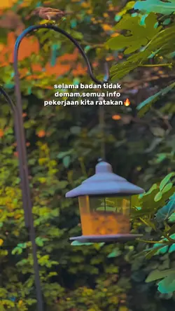 Semua info ratakan🔥