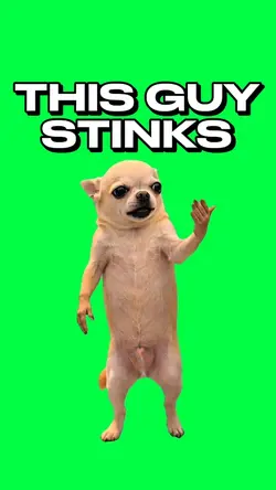 THIS GUY STINKS DOG