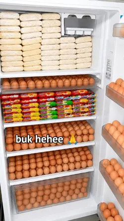 kulkas isi mie telur