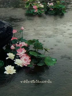 ชาตินี้ชาติใดให้เธอเท่านั้น