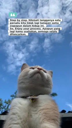 Step by step. Nikmat