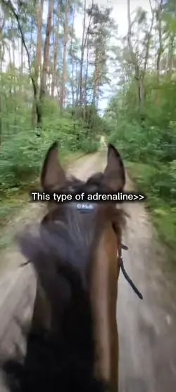 Adrenaline
