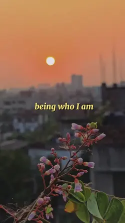 Who I am