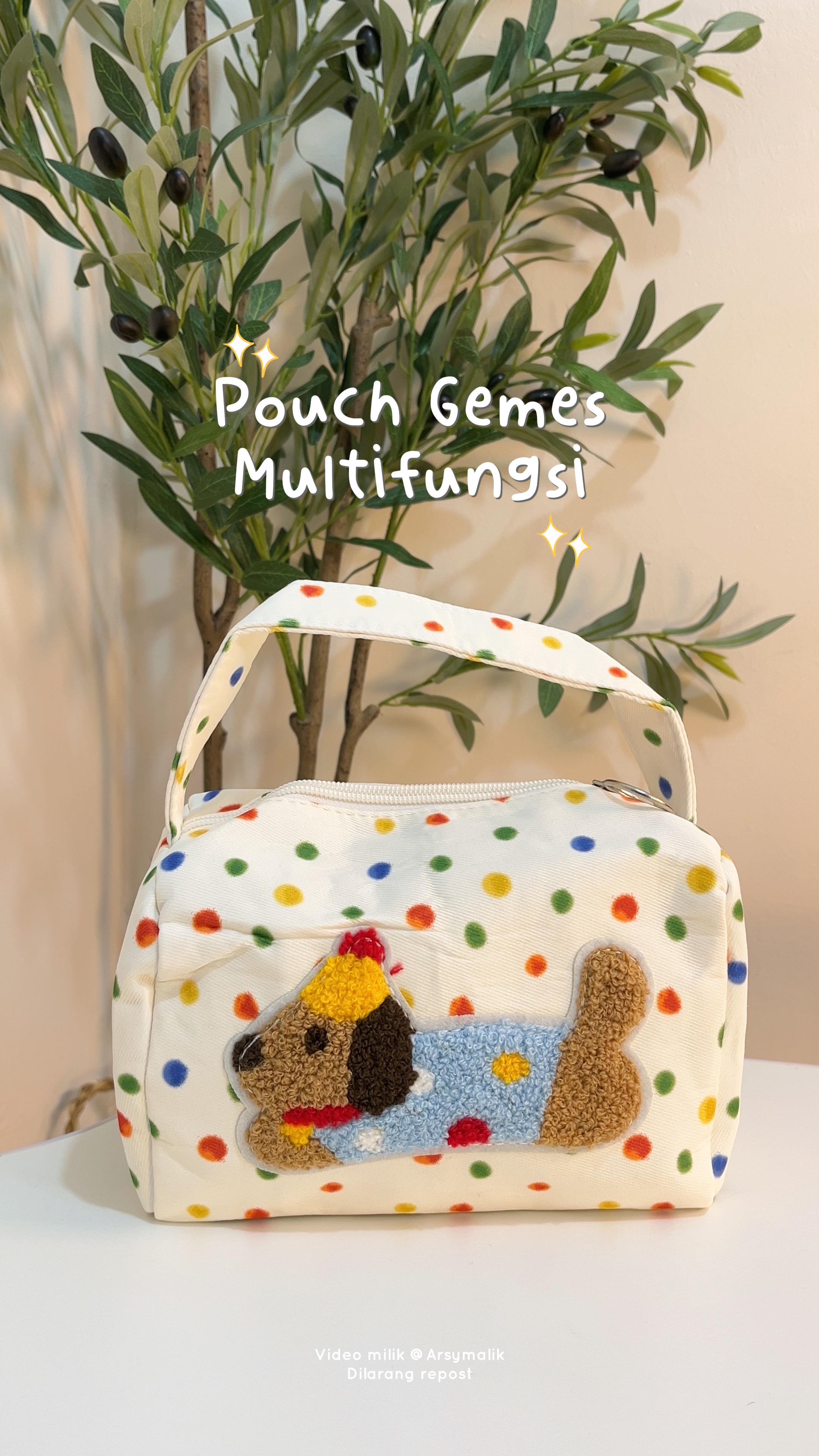 Pouch