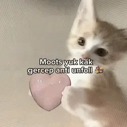 moots yuk kak gercep