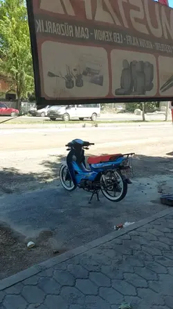 kaptanın kafası güze