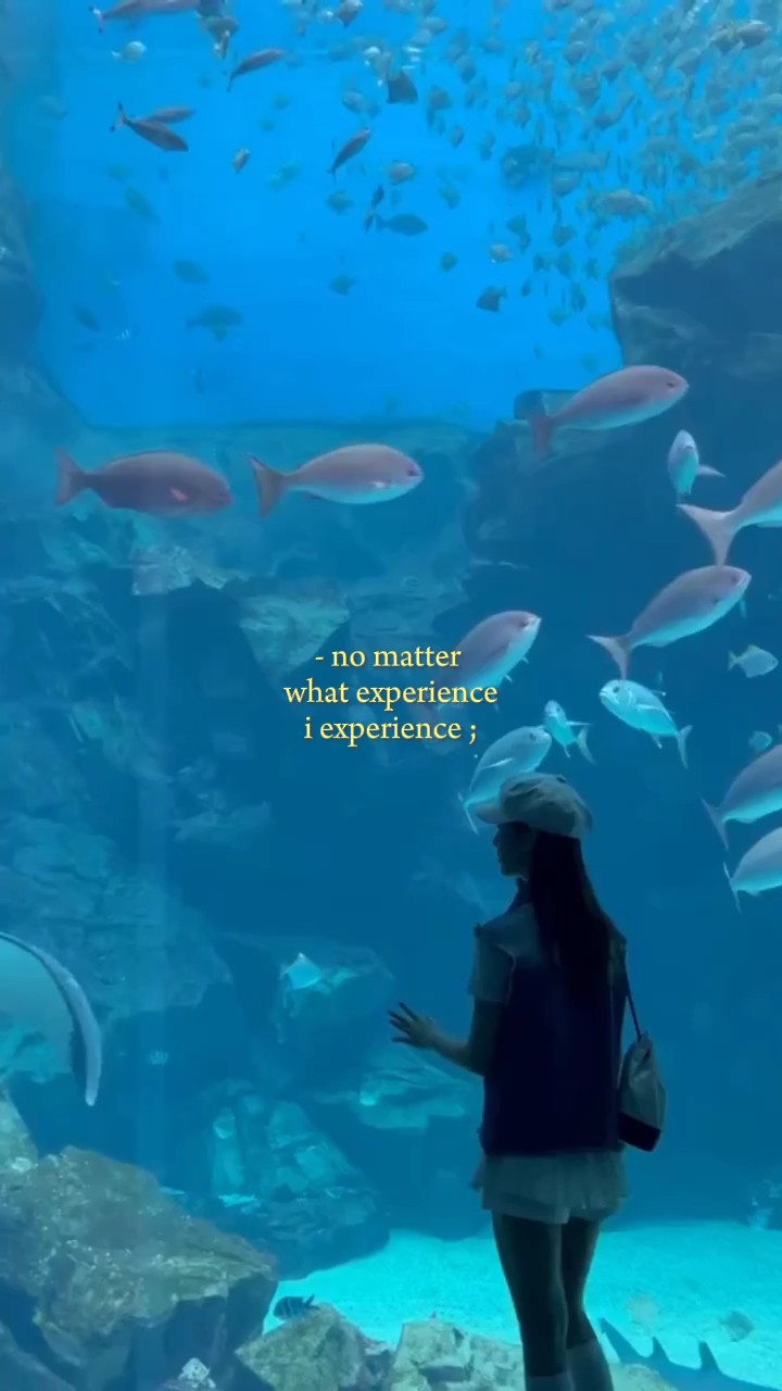 quotes story