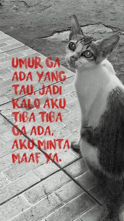 aku minta maaf ya