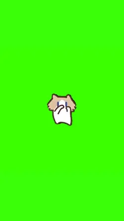 viral cat dancing