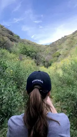Aesthetic 2