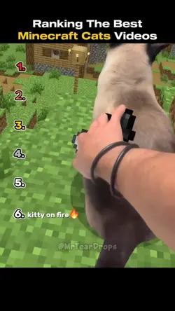 Minecraft cats