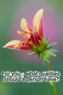 What qualities?! 
