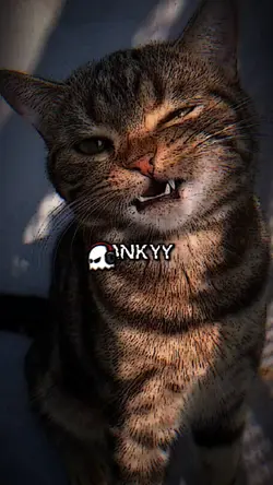 AKU SAYANG KAMU JUGA