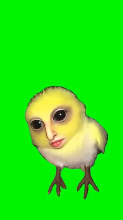 Jon Mudd Bird Meme
