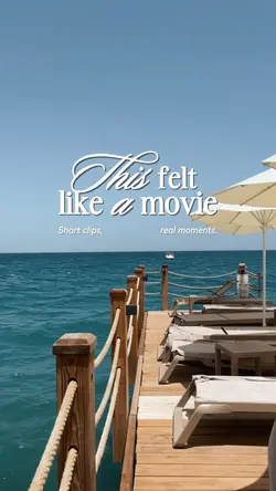 this felt like amovi