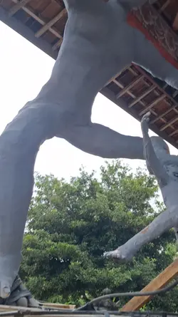 jangan karna apa