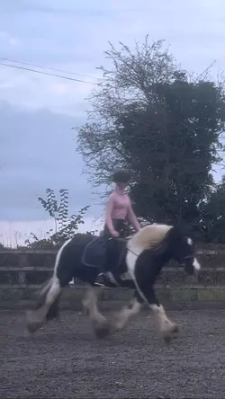 Flicky trot 😍