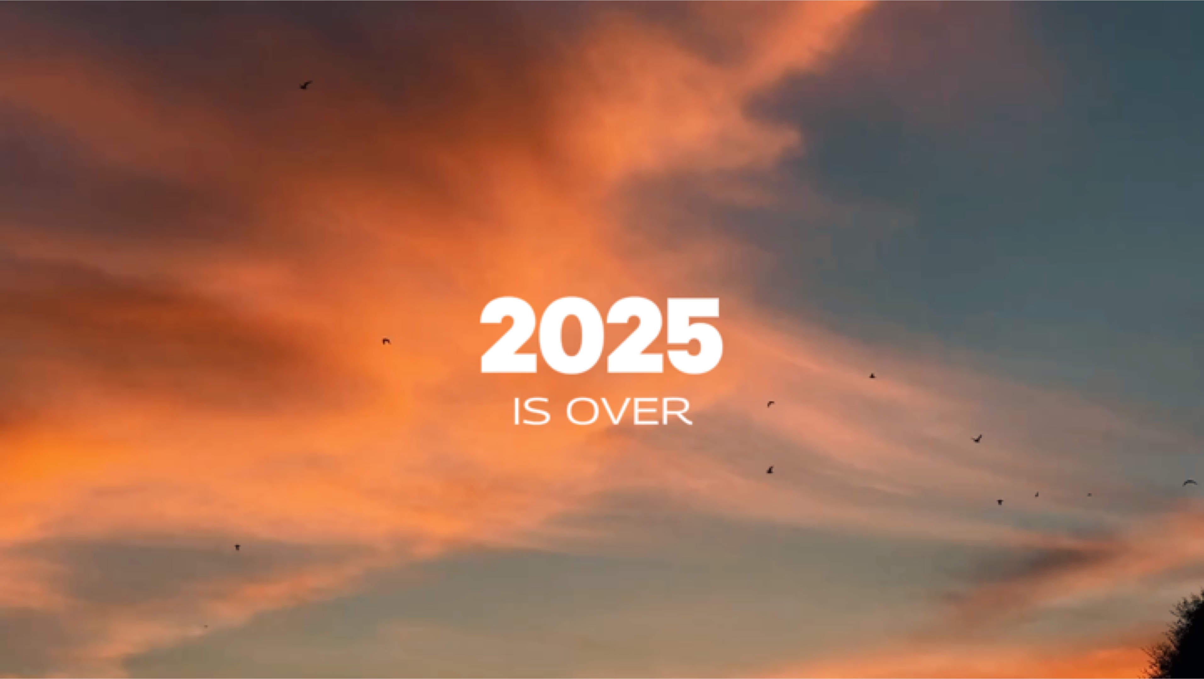 2025 ha terminado 
