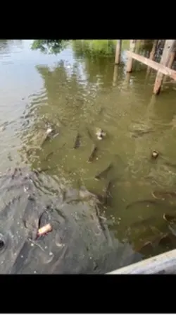 อาจจะไม่ได้ดีนัก