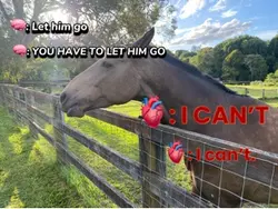 Let him go
