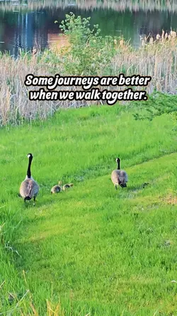 Nature walk together