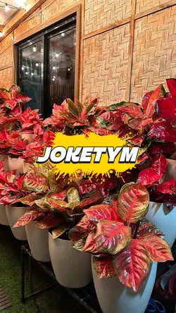 JokeTym