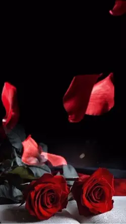 🌹PARA TI♥️